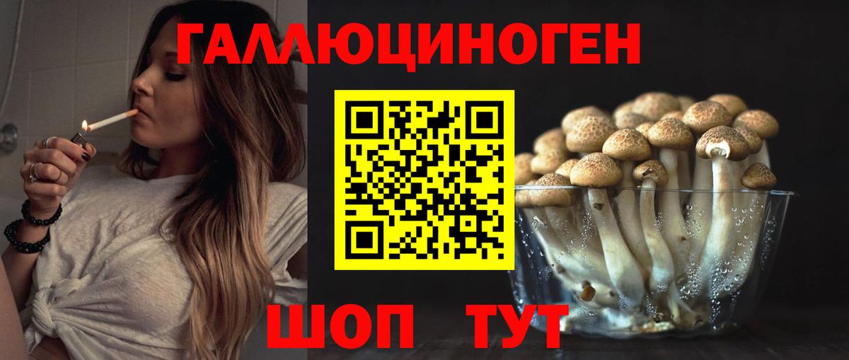 Галлюциногенные грибы мухоморы Донецк