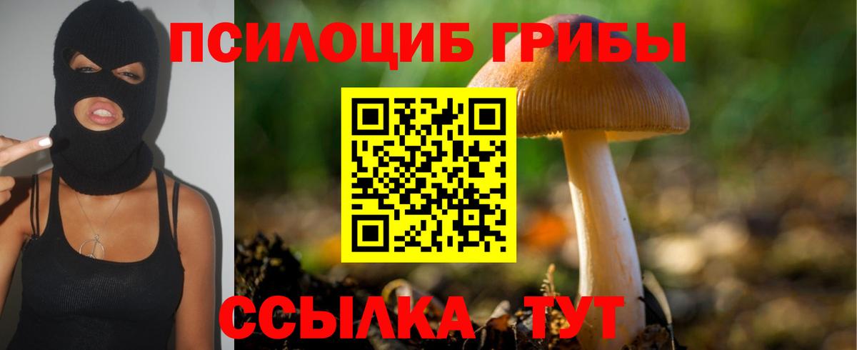 Донецк  Псилоцибиновые грибы GOLDEN TEACHER  Вход с VPN 